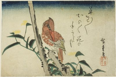 Martin-pêcheur et fleur de jour - Utagawa Hiroshige