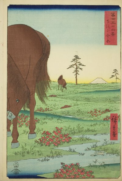 Plaine de Kogane dans la Province de Shimosa (Shimosa Koganehara), de la série "Trente-six Vues du Mont Fuji (Fuji sanjurokkei)" - Utagawa Hiroshige
