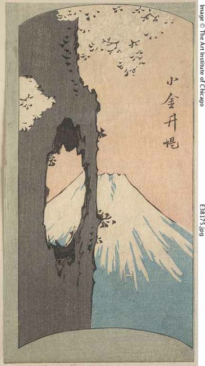 Koganei, section d