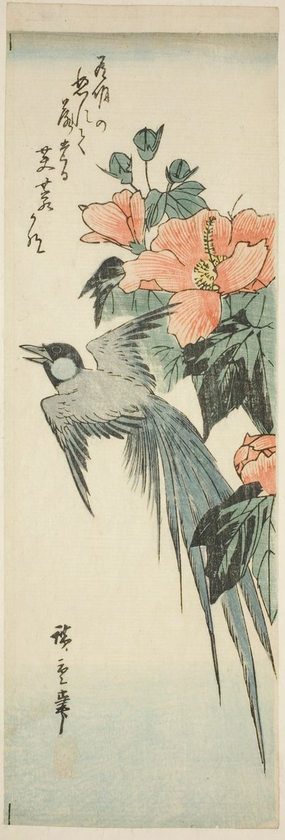 Oiseau à longue queue et hibiscus - Utagawa Hiroshige
