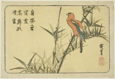 Ara et bambou - Utagawa Hiroshige