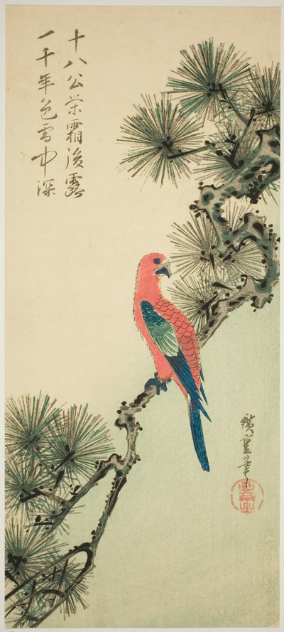 Ara sur une branche de pin - Utagawa Hiroshige