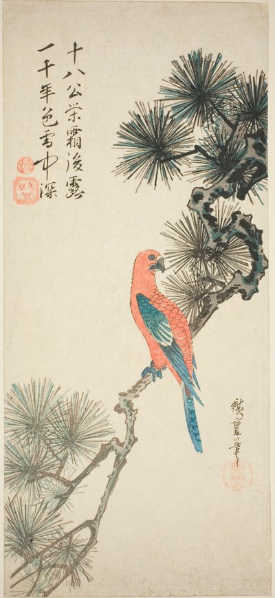 Ara sur une branche de pin - Utagawa Hiroshige