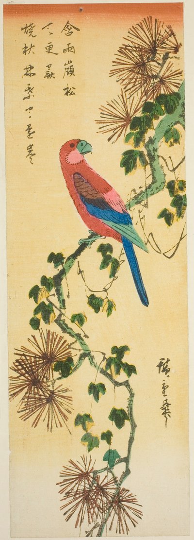 Ara sur une branche de pin recouverte de lierre - Utagawa Hiroshige