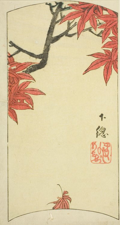Feuilles d