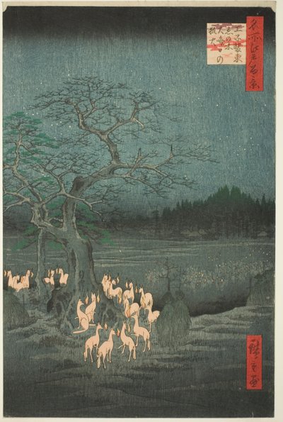 Feux de renard de la veille du Nouvel An à l
