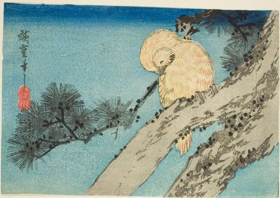 Hibou sur une branche de pin - Utagawa Hiroshige