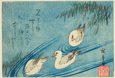 Huîtriers - Utagawa Hiroshige