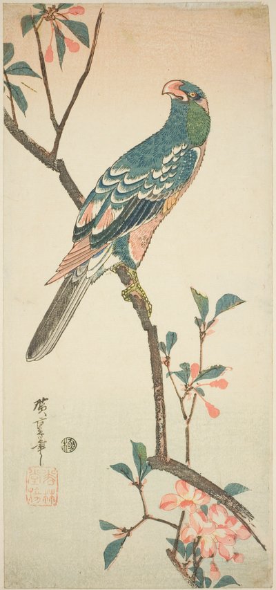 Perroquet sur une branche en fleurs - Utagawa Hiroshige