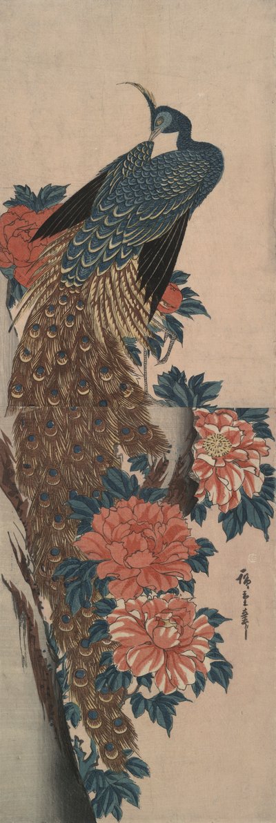 Paon et Pivoines - Utagawa Hiroshige