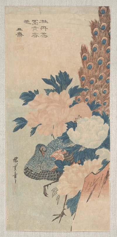 Paon et pivoines - Utagawa Hiroshige