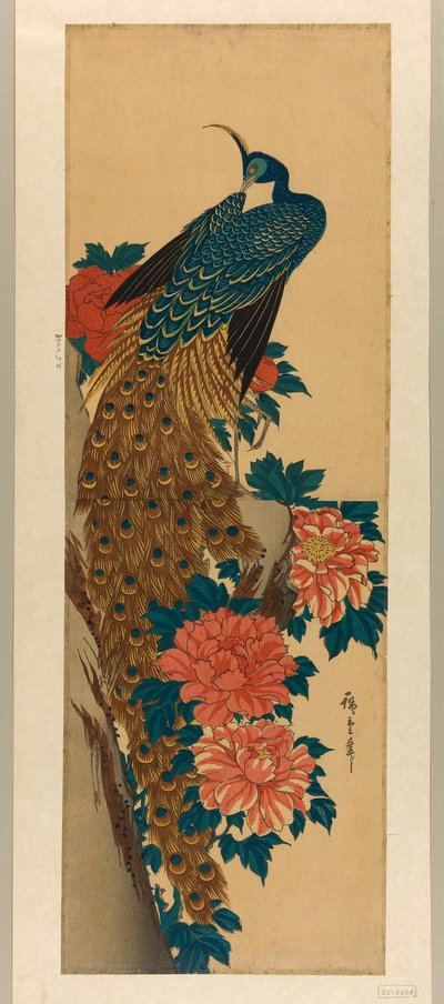 Paon et pivoines - Utagawa Hiroshige