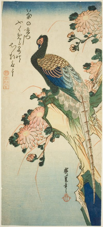 Faisan et chrysanthèmes - Utagawa Hiroshige