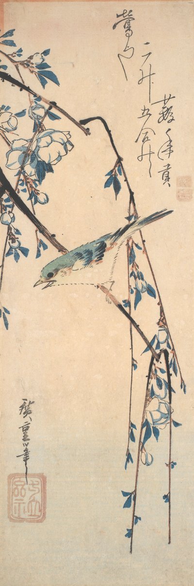 Rougequeue à flancs roux sur une branche de cerisier - Utagawa Hiroshige