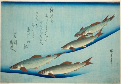Truite de rivière - Utagawa Hiroshige