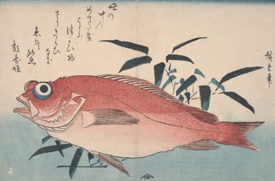 Dorade et herbe de bambou, 1840 - Utagawa Hiroshige