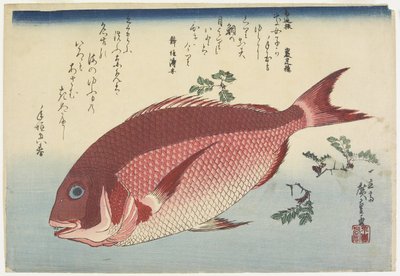 Dorade et brindilles de sansho, c. 1832 - Utagawa Hiroshige