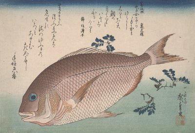 Dorade et poivre de sansho, c.1830 - Utagawa Hiroshige