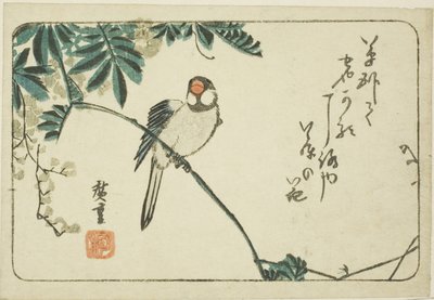 Moineau et glycine - Utagawa Hiroshige