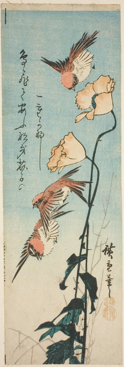 Moineaux et coquelicots - Utagawa Hiroshige