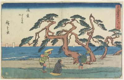 Le Champ de pins à Hamamatsu - Utagawa Hiroshige