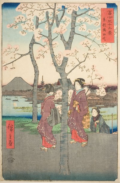 La berge de Sumida dans la capitale de l