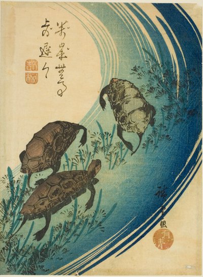 Tortues nageant dans un ruisseau - Utagawa Hiroshige