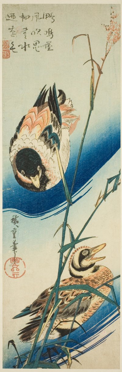 Deux canards nageant parmi les roseaux - Utagawa Hiroshige