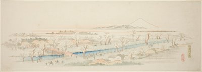 Vue de Koganei (Koganei no kei), d