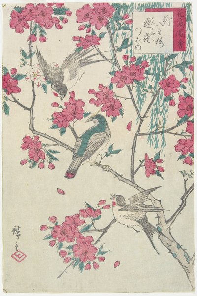 Saule, fleurs de cerisier, moineaux et hirondelle, début du 19ème siècle - Utagawa Hiroshige