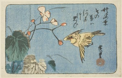 Oiseau jaune et bégonia - Utagawa Hiroshige