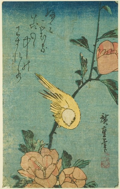 Oiseau jaune et hibiscus - Utagawa Hiroshige
