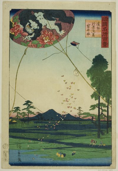 Cerfs-volants de Fukuroi et vue lointaine d