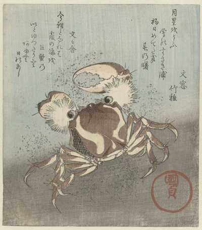 Crabe marchant le long de l
