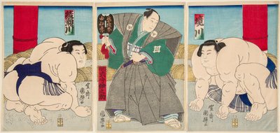 Combat des lutteurs de sumo Shakaigawa et Ayasemawa - Utagawa Kuniteru