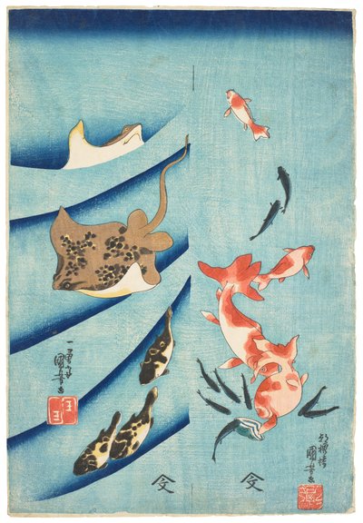 Poisson rouge, poisson-taupe, raie et poisson-globe, vers 1837 (gravure sur bois) - Utagawa Kuniyoshi