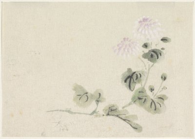 Chrysanthèmes blanc-violet - Utagawa Kuniyoshi