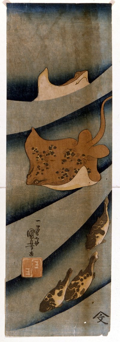 Estampes de Utagawa KUNIYOSHI (1797-1861) représentant des poissons. - Utagawa Kuniyoshi