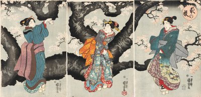 Yoru no sakura [Fleurs de cerisier la nuit], vers 1846 (gravure sur bois) - Utagawa Kuniyoshi