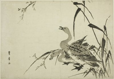 Oies sauvages et roseaux - Utagawa Toyohiro