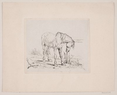 Un vieux cheval - Valdemar Irminger