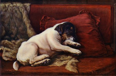 Une sieste de l
