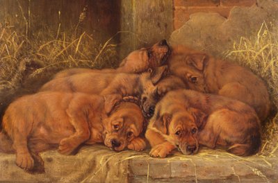 Amour de chiot - Valentine Thomas Garland