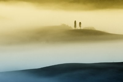 Les collines dorées brumeuses - Vanja Tajnsek