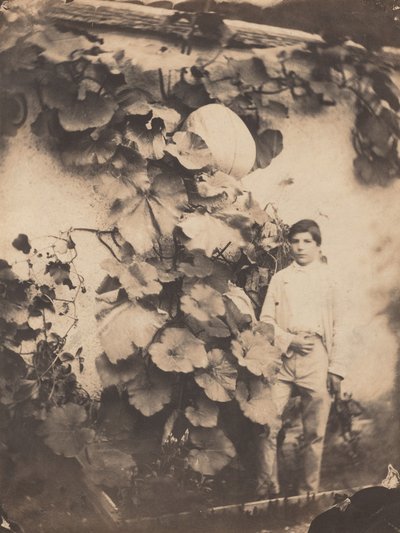 Garçon avec une vigne de citrouille - Varin Frères