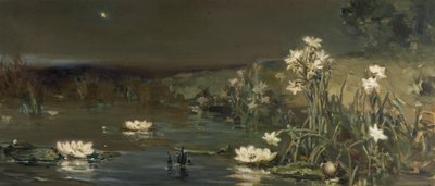 Étoile dans la nuit - Vasilii Kotarbinsky