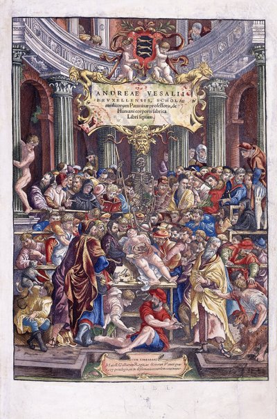 Anatomiste et médecin flamand, Andreas Vesalius, donnant une leçon à l