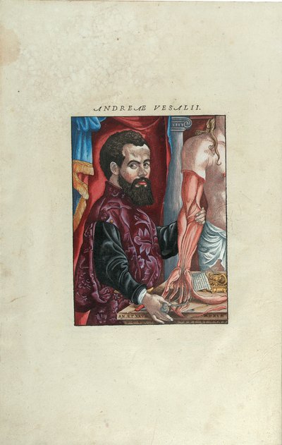 Portrait d