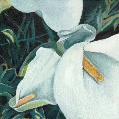 Élégants lis calla - Viccy Wanliss