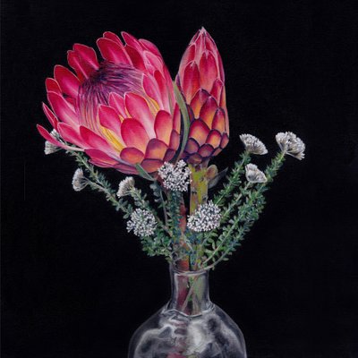 Bouquet de protéas royales - Viccy Wanliss
